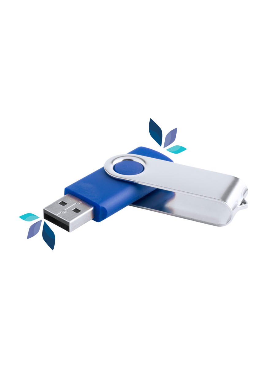 Clé USB personnalisée 16 Go pour entreprise-bleu