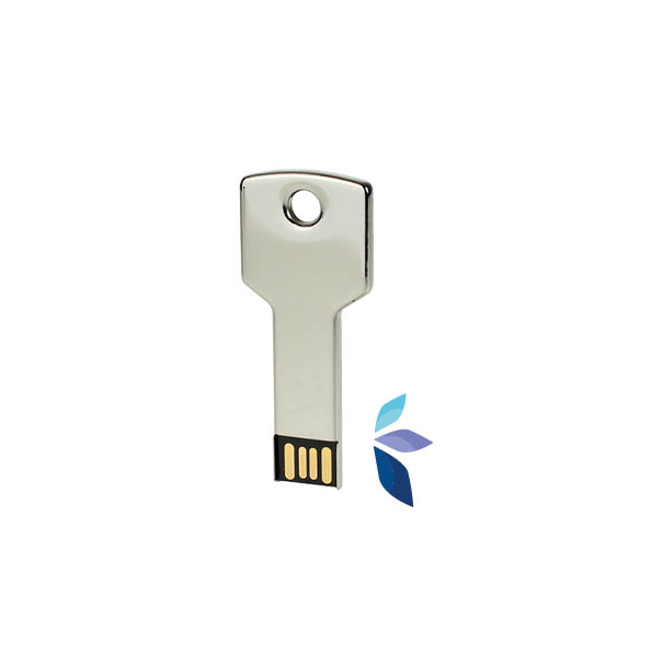 Clé personnalisable sur la région de Lyon et Genève