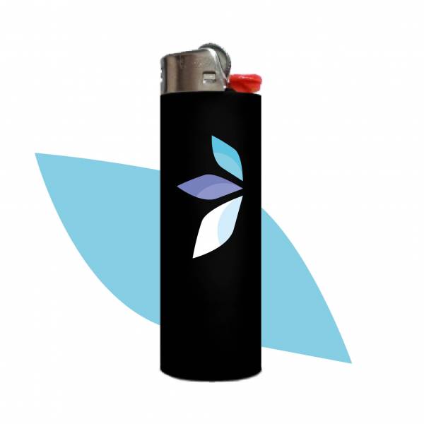 briquet bic