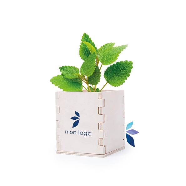 Pots de fleurs personnalisés pour entreprises et associations à Lyon, Paris et Marseille