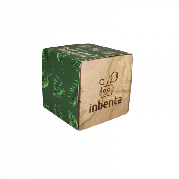 Cube en bois décoratif et personnalisé avec graines à Lyon, Lille et Valence